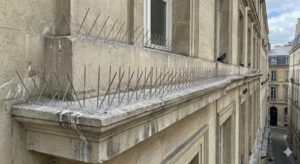 Spikes for Bird Control